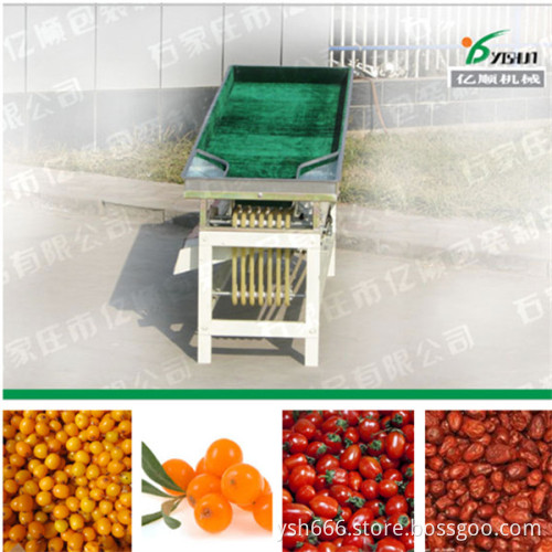 Sea buckthorn sorting machine factory price YSXT-1C